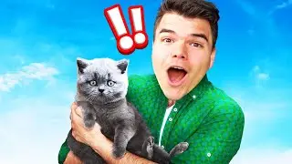 I Became a CAT SHELTER Owner! (Simulator)