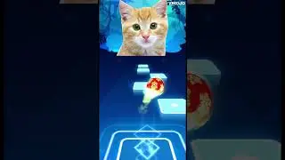 Tiles Hop| Cute Cat 3 #tileshop #cute #cat #music #viral #shorts