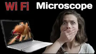 microscope , microscope class 12 physics, microscope bacteria, microscope view, microscope video.