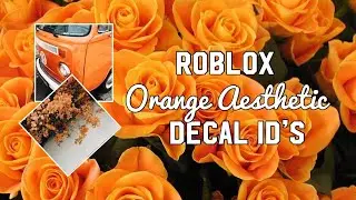 Roblox Orange Aesthetic Decal ID&rsquo;s