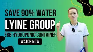 Save 90% Water with Lyine Group&rsquo;s EBB Hydroponic Container Ending Farming Waste Pains