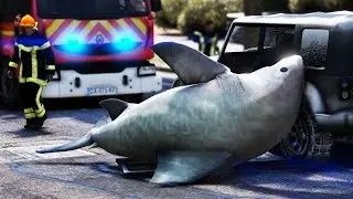 [GTA 5] UN REQUIN AU MILIEU DE LA ROUTE | LSRD - SAPEUR-POMPIER #INTERVENTION57