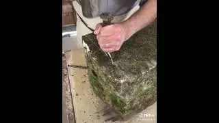 Trimming a stone for a hand carved stone Memento Mori  #stonecarving #stonecutting  #carvingstone