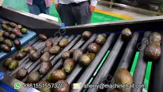 Avocado Washer And Dryer GELGOOG