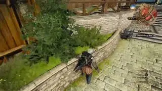 Goku is the witcher some more!
