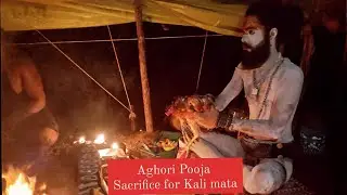 Aghori Pooja | kali mata | aghori hawan | aghori baba tantra | kali sadhana