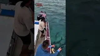 Water Full of Fish &mdash; One Spear, Direct Strike! #shorts #fish #fishing #trending #amazing #viralvideo