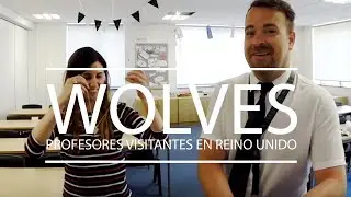 La experiencia del profesor visitante en Inglaterra