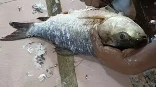 Smart Fish Cutter Cutting Rohu Fish Perfectly | Amazing Fish Cutting Skills