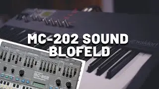 Roland MC-202 Sound with Waldorf Blofeld (No Talking) | Classic Analog Synth Tones