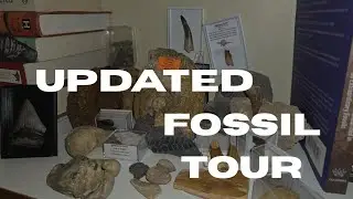Updated fossil tour