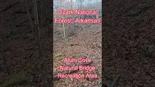Hiking Trail #naturalbridge #ozarknationalforest #hikingtrails #winterhike #crunchingsounds #shorts
