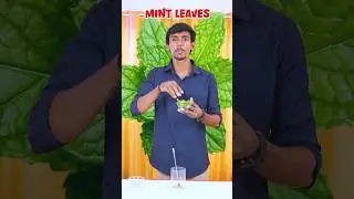 KERALA LEMON JUICE 🥤 #shorts #shortvideo #shortsfeed #trending #cooking #juice #kerala #food