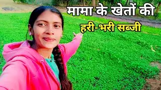 मेरे मामा के खेतों की हरी भरी सब्जी || Khushbu Donode