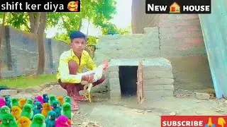 King🐓murga ko New House🏠 me shift ker diya 🥰| Bishal pets vlog | pets vlog