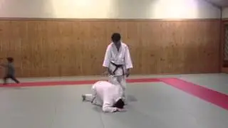 Aiki goshinjutsu kenkyukai ( aiki style)