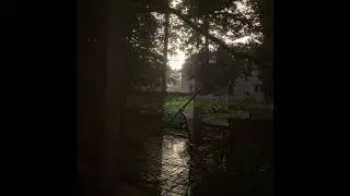 lightseed - roots