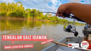 Pecutan Jengkua dan Tenggalan Saiz Idaman - Vlog #18 - Bottom Fishing Sungai Pahang