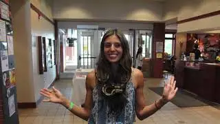 Little Sikhs Festival 2017 (Celebration of Sikh Cultural Awareness & Diversity )