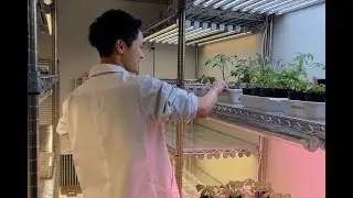 学生インタビュー　研究紹介②　摂南大学農学部　農業生産学科