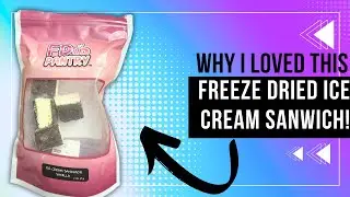 Review of Freeze Dried Ice Cream Sandwich Bites