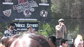 The Red Devil Squadron - OC PUNK ROCK PICNIC 09