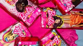 Barbie Fashionista Doll Collection ASMR [no talking, tapping, zipper, plastic, & hand sounds]