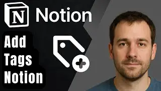 How to Add Tags in Notion (2025 Step-by-Step Beginner Tutorial)