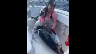Our Second Biggest Ahi Tuna - Hawaii Tuna Fishing 2022 - Ahi Fever 6/18/22