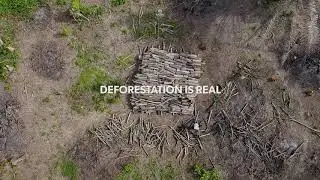 Cacao Barry - Thriving Nature - Deforestation