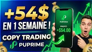 Copy trading : Revenu passif sur PUprime ||54$ g&eacute;n&eacute;r&eacute; en 1 semaine 