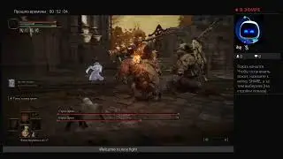 Elden ring  nice fight