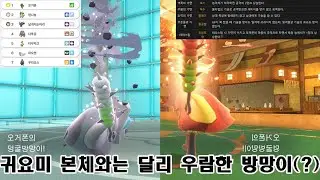벽록의 가면의 주인공이자 레귤 E 입국 포켓몬의 거의 유일한 희망, 오거폰