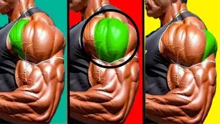 Effective Bigger Shoulder Exercises for Boulder Shoulders Gains