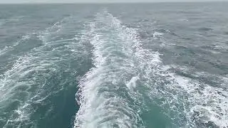 Kielwasser der AIDAnova, Januar 2026