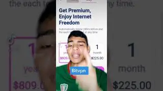 Bitvpn