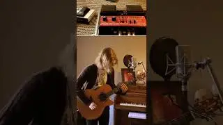 Smells Like Teen Spirit Loop #shorts #nirvana  #loop #guitarloop #kurtcobain