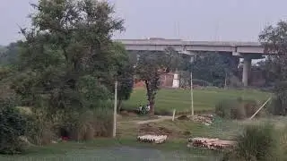 //__Aunrihar To__//// saidpur__//  Beutifull __///Nature view//__ By __//DMU 