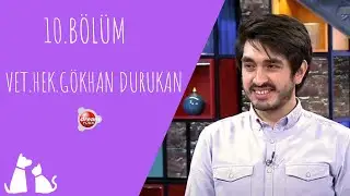 Evcil hayvanlarda davranış bozuklukları | ÇOK YAŞA CAN DOSTUM