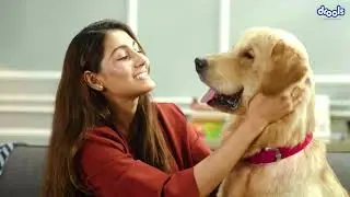 Drools Daily Nutrition - Dry Dog Food