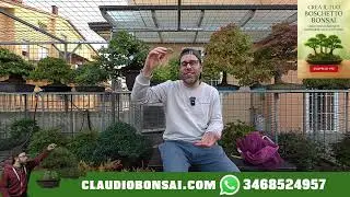 QUALE TIPO DI ACERO SCEGLIERE SE SEI UN NEOFITA