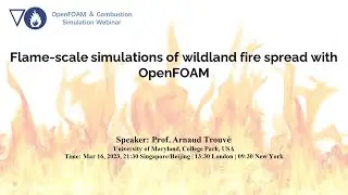 Flame scale simulations of wildland fire spread with OpenFOAM
