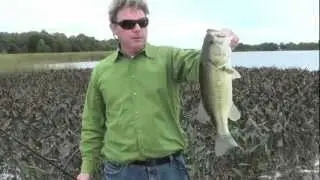 IBASSIN RULES # 1 Punching Weeds