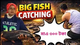 Big fish catching (মাএ ৩০০ টকা) 