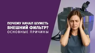 Почему начал шуметь внешний фильтр для аквариума?