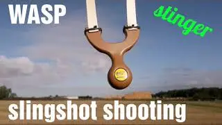WASP stinger slingshot shooting