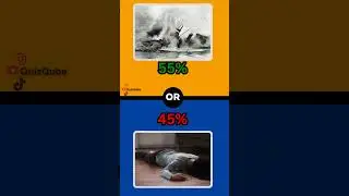 Shocking Would You Rather Questions!