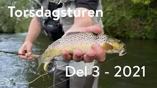 Torsdagsturen: Del 3 - 2021