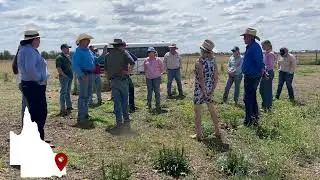 From Roma to Brisbane: The Next Generation of Beef Leaders in Action | QLD Production Tour 2025
