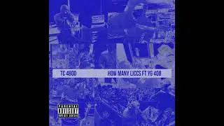 How Many liccs.